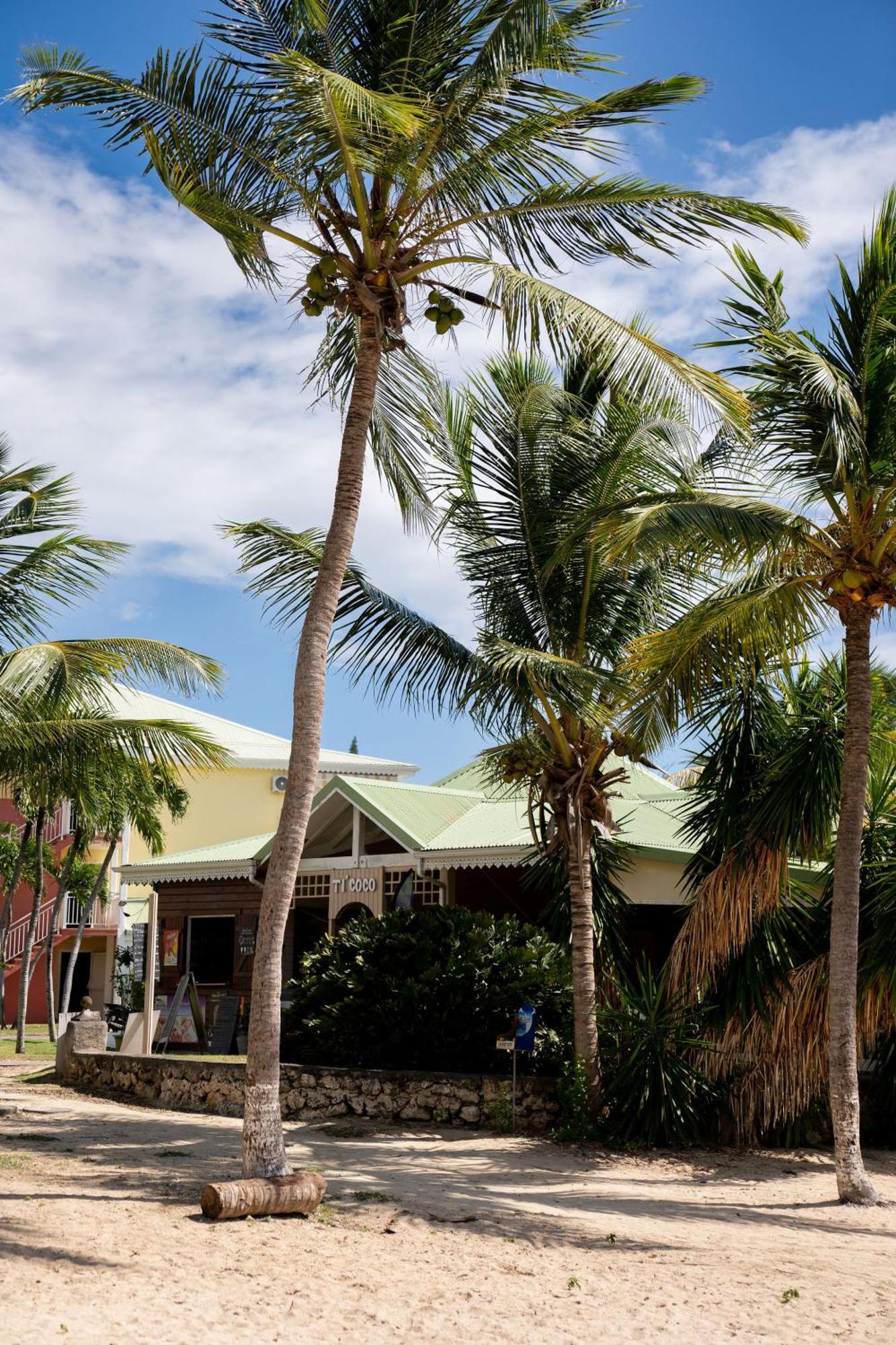 Le Petit Havre Tropical Guadeloupe, Gite, Massages & Spa Сен Франсоа Екстериор снимка