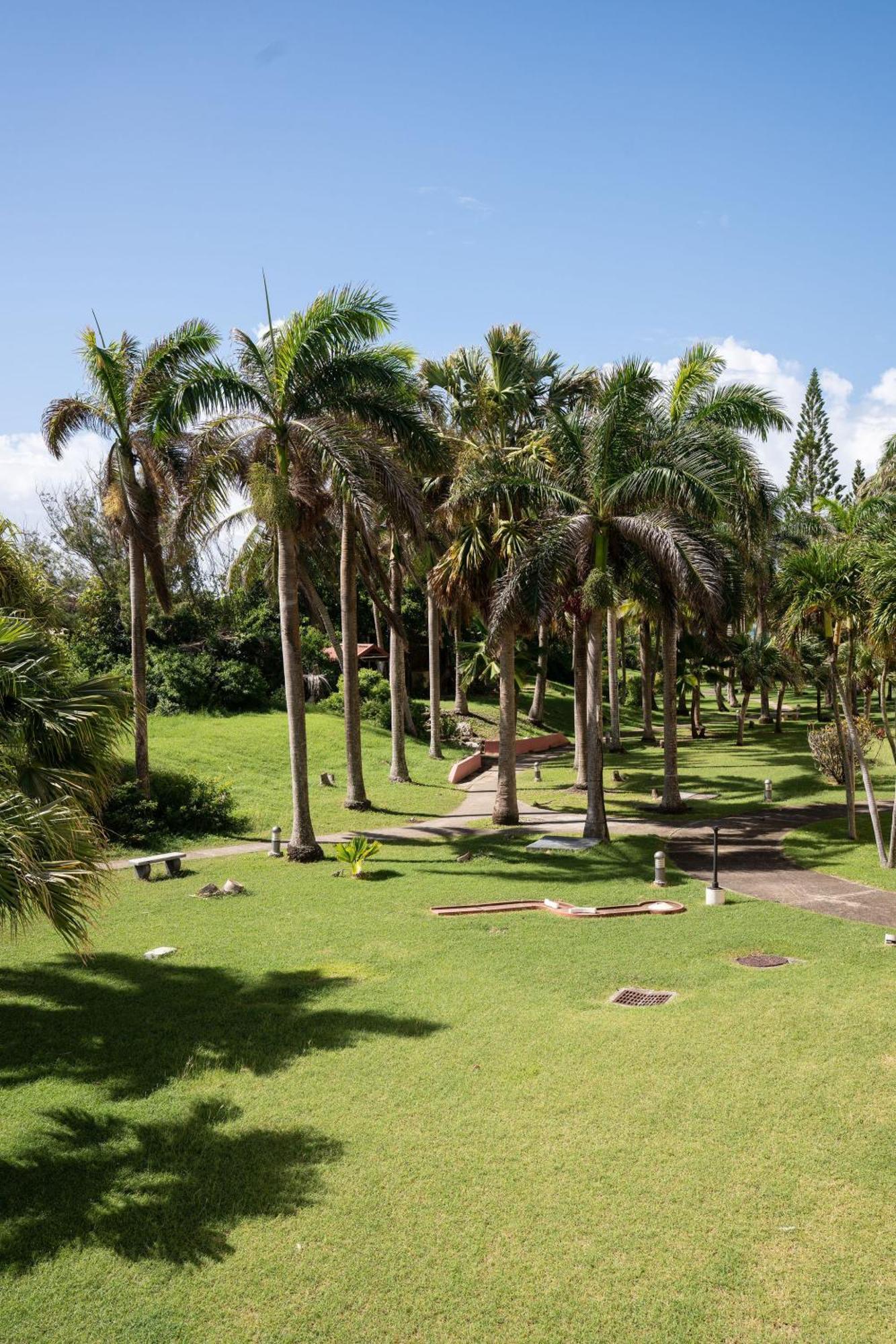 Le Petit Havre Tropical Guadeloupe, Gite, Massages & Spa Сен Франсоа Екстериор снимка