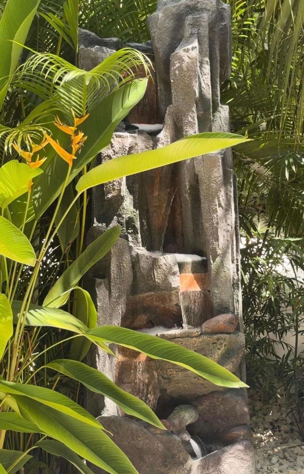 Le Petit Havre Tropical Guadeloupe, Gite, Massages & Spa Сен Франсоа Екстериор снимка