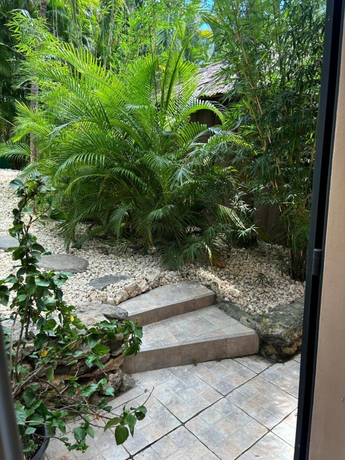 Le Petit Havre Tropical Guadeloupe, Gite, Massages & Spa Сен Франсоа Екстериор снимка